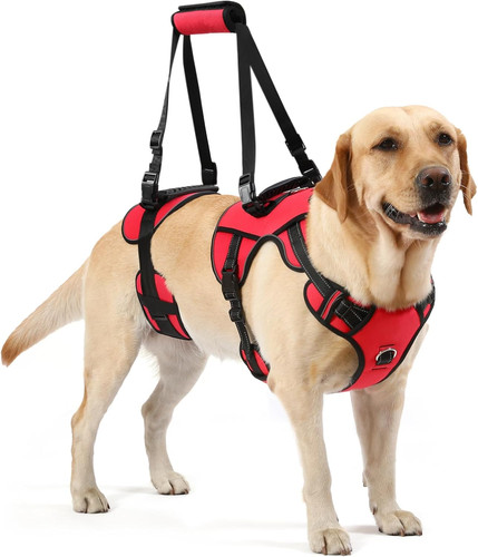 Imbracatura sollevamento cani - sollevamento,