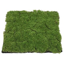  Tapis de mousse artificielle
