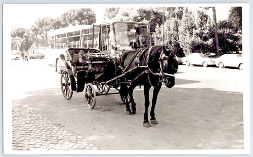 Carrozza cavallo roma - a,