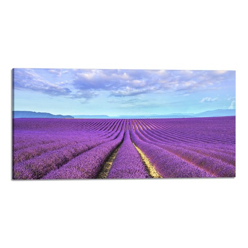 Quadro stampa tela con - quadro,