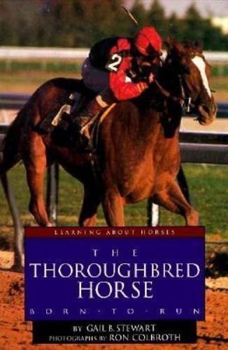 The thoroughbred horse born - thoroughbred, horse: