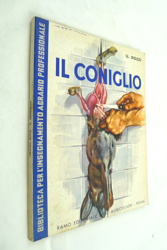 Rozzi coniglio allevamento - rozzi, il