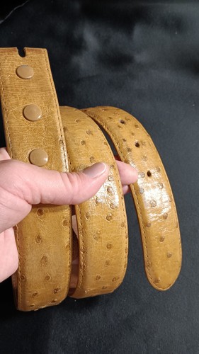 Cintura vero struzzo ferrini - cintura,