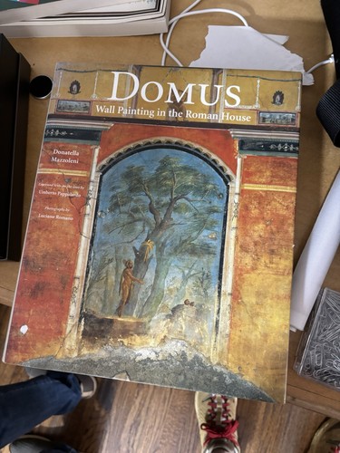 Domus wall painting in the - domus,