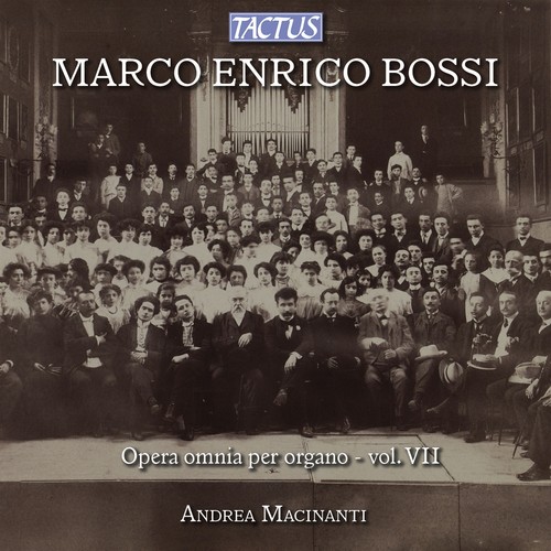Andrea macinanti opera - ,
