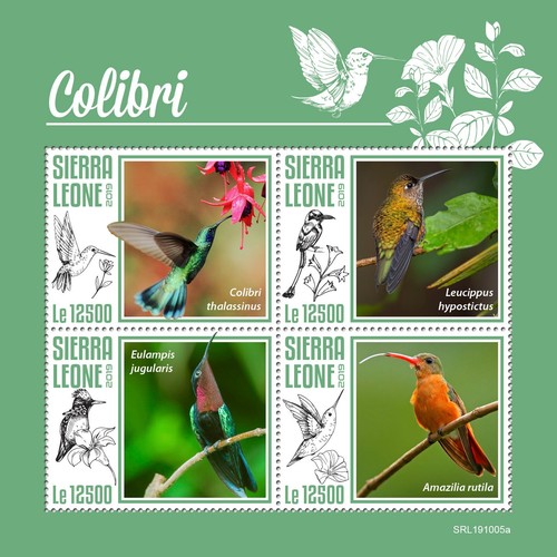 Francobolli colibri colibrì - francobolli,