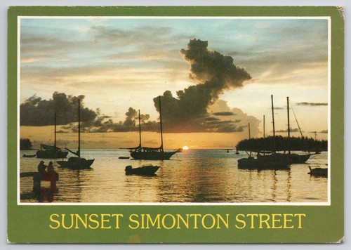 Cartolina key west - key,