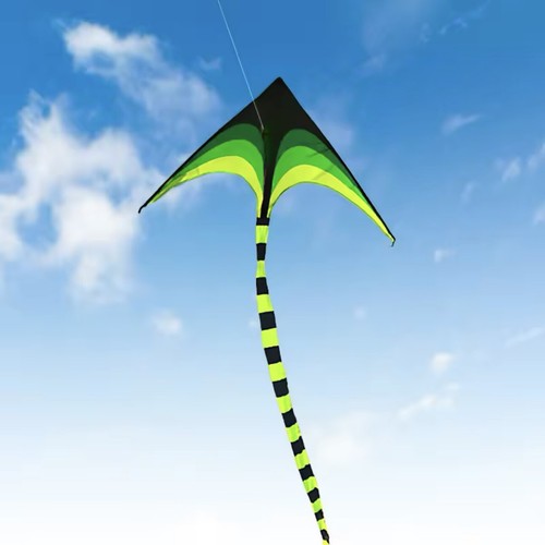 Aquilone delta multicolor