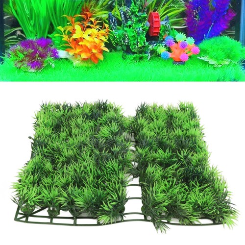 Tappetino erba acquario - erba,
