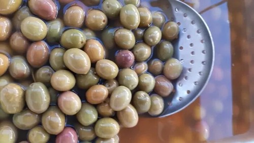 500 olive termite - olive, di