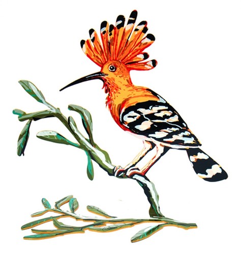 David gerstein hoopoe bird - gerstein, "hoopoe