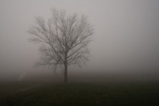 Fotografia Fine Art - Alessandro Carleschi - Invisible Threshold 01