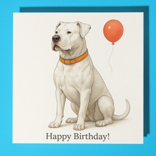 Dogo Cane Argentino -