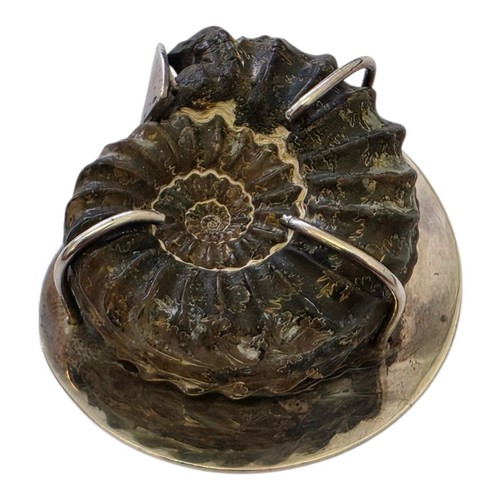 Ciondolo argento sterling - ciondolo,