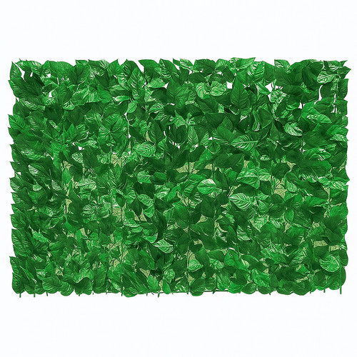 Arella sempreverde doppia