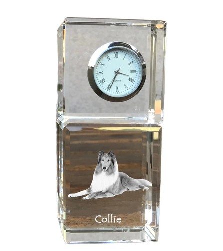Collie pelo lungo - pelo, lungo,