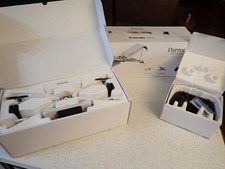 Parrot Swing Vertical