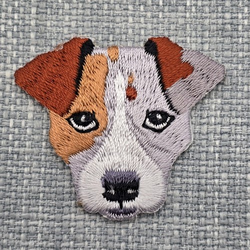 Jack russel terrier dog - russel,