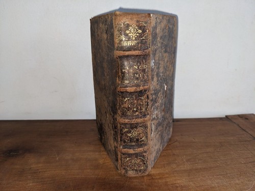 Libro antico bastoni - bastoni,