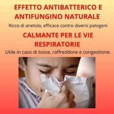 Anice stellato INTERO BIO  1