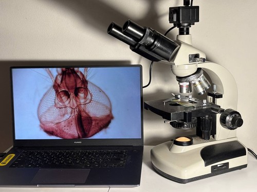Microscopio biologico