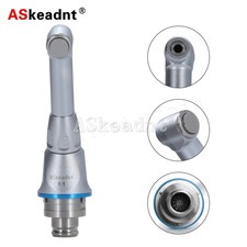 Endodonzia Dentale 1:1 Testa