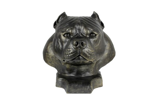 American bully grande - american,