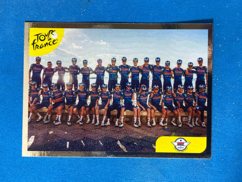 Figurine stickers panini - figurine,