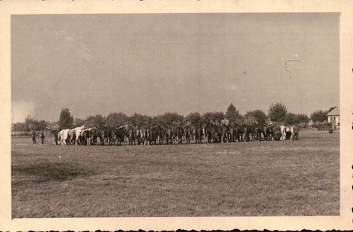 Foto del 1939 gruppo - foto,