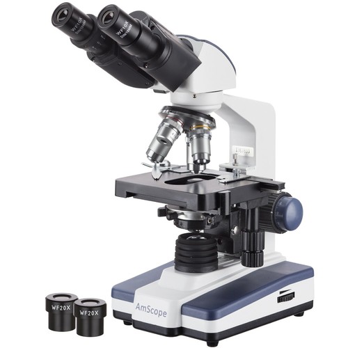Microscopio binoculare - microscopio,