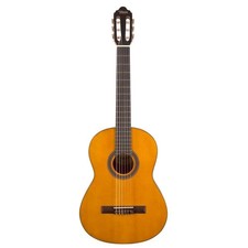 Chitarra classica Valencia