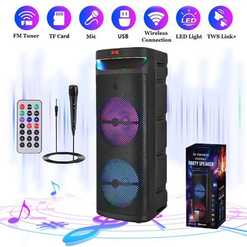 Dual subwoofer portable - 10'',