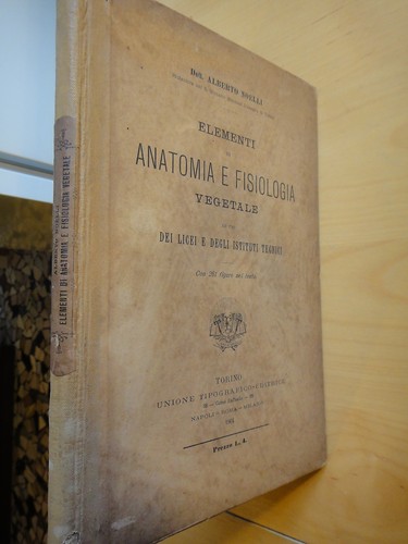 1904 elementi anatomia e - anatomia,