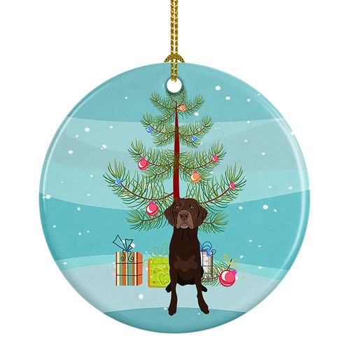 Labrador retriever cioccolato - retriever,