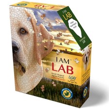 Madd capp lab - capp:,