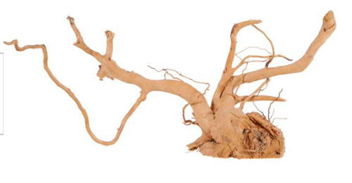 Radice naturale red wood - radice,