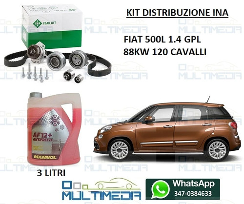 Kit distribuzione ina pompa - kit,