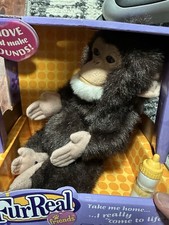 ESTREMAMENTE RARO!! SCIMPANZÉ