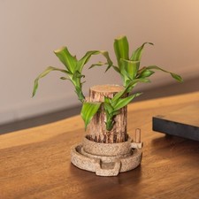  1pc vaso di fiori a forma di