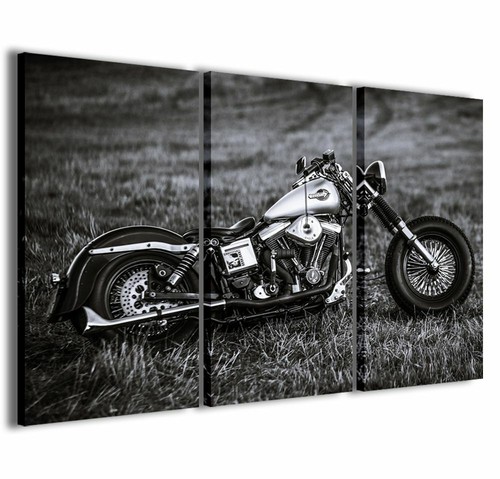 Quadro moderno 100 cm - 100, 60