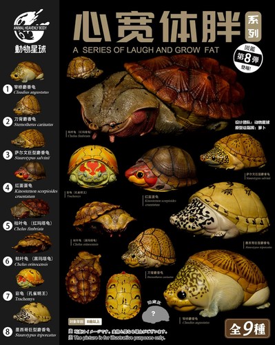 Animal heavenly body - heavenly, turtle