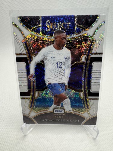 Panini select fifa soccer - fifa,
