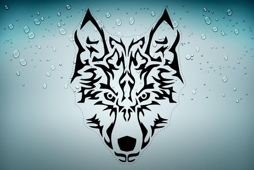Adesivi adesivo sticker - , moto