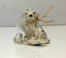 PAPO ANIMALI CANI CANE DALMATA