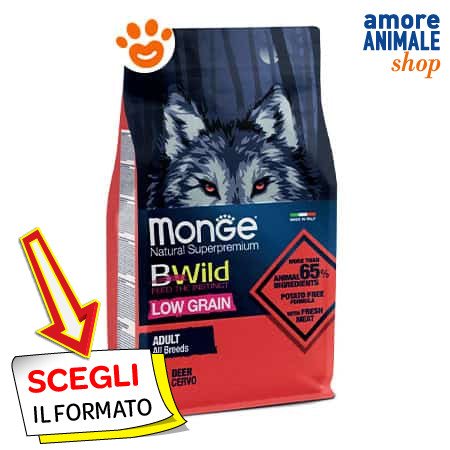 Monge dog bwild low - low, grain