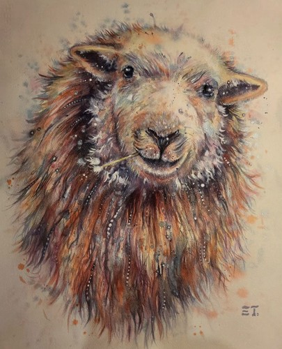 Quadro pecora commissione - pecora, su