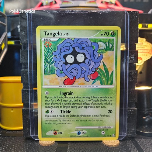 Tangela pokémon fronte - tangela,