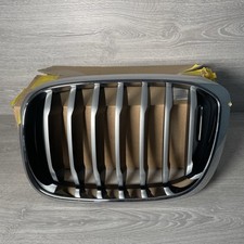 Griglia renale paraurti