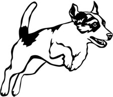 Adesivo JACK RUSSELL TERRIER -