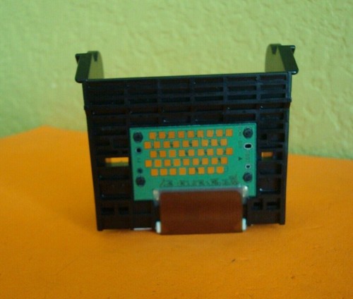 Qy6 0070 testina - testina, di